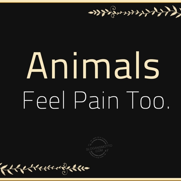 Welcome to my closet!! 😁🤗 - Picture 8 of 12